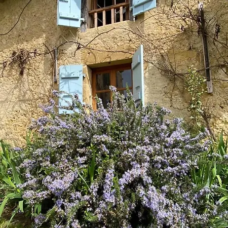 Gascony - Pool Nature Large Garden 17p * Loubersan
