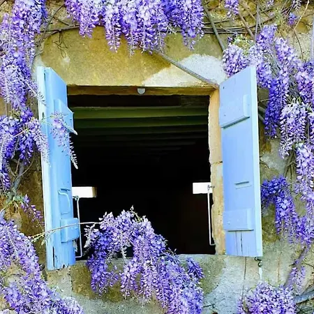 Gascony - Pool Nature Large Garden 17p *